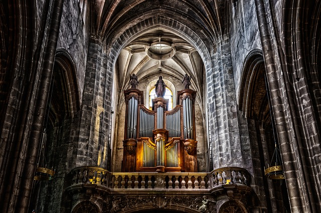 Orgel